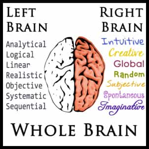 left-right-whole-brain11
